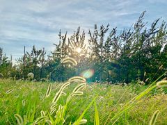 -汉长安城未央宫国家考古遗址公园