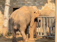 -石家庄市动物园