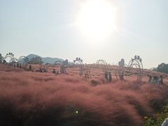 -金孔雀温泉旅游度假村