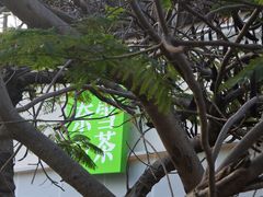 -奈雪的茶(大梅沙8号仓店)