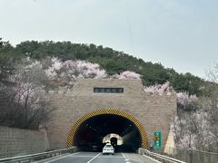 -居庸关长城