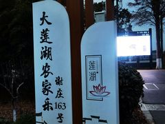 -大莲湖农家乐(青西郊野公园店)
