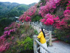 -木兰云雾山