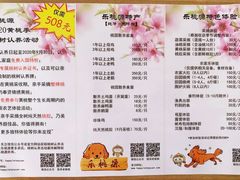 -樂桃源奉贤黄桃种植采摘基地