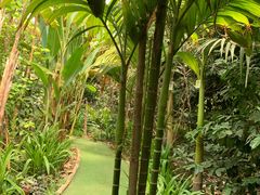 -呀路古热带植物园