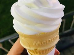 -麦当劳(金桥店)