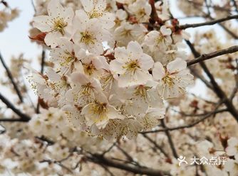 真是个踏青散心的好去处