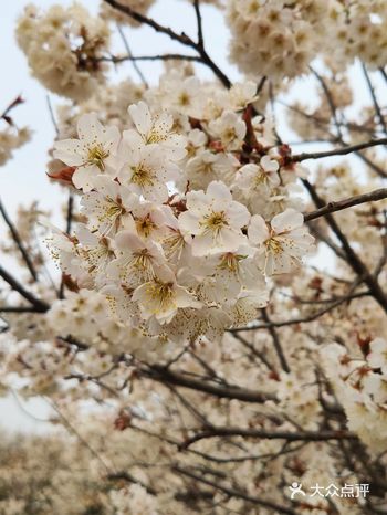 真是个踏青散心的好去处