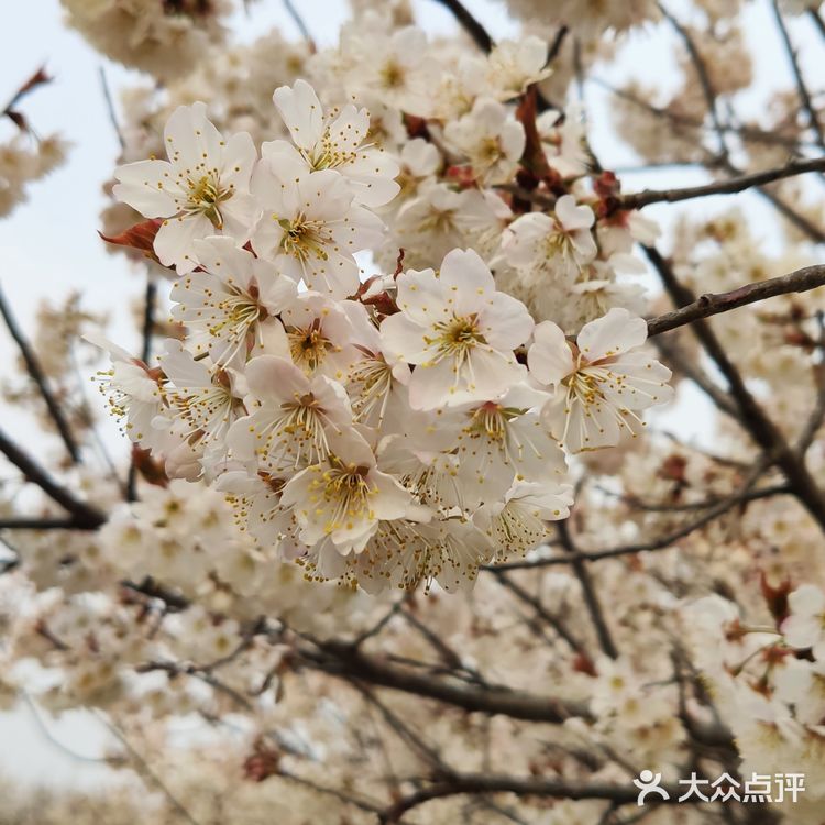 真是个踏青散心的好去处