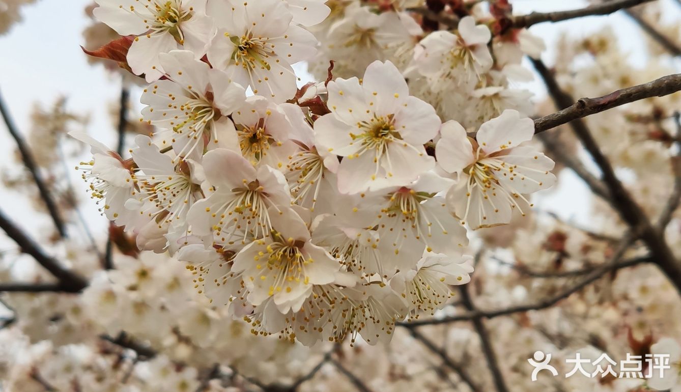 真是个踏青散心的好去处