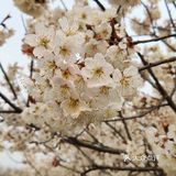 真是个踏青散心的好去处