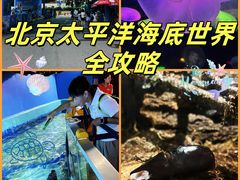 -太平洋海底世界