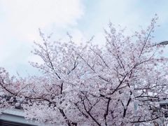 -上海南浦大桥长途旅游客运站