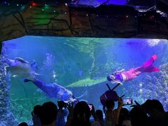 -嘉兴海底世界