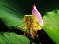 -云居湖