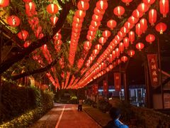 -巴倒烫陆派火锅山庄(南山总店)