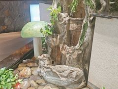 -菌彩云南野生菌火锅(呈贡七彩云南第壹城店)