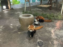 -柳州市动物园