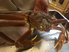 松叶蟹套餐-綱元·海鲜豆捞(明州里店)