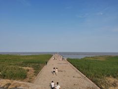 -南汇嘴观海公园