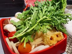 -诺莱仕游艇会