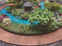 -大连湾旭日·家宴·海肠捞饭(马栏广场店)