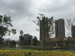 -府河摄影公园