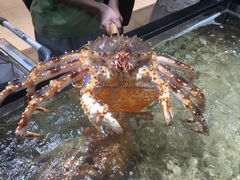 -盒马鲜生(曜一城店)