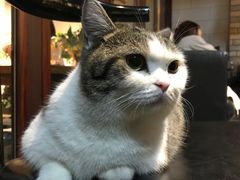 -IFIF 如果花園(宽厚里店)