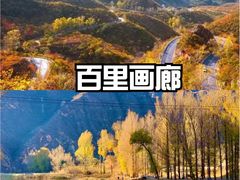 -桔子文创·企业团建·活动策划·拓展会议