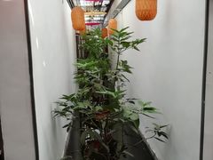 -小江南(老洋桥店)