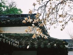 -常熟方塔园