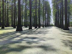 -渌洋湖湿地公园