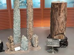 -龙虎山世界地质公园博物馆