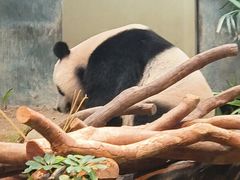 -香港海洋公园