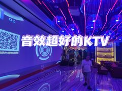 -宝岛甲壳虫KTV(蓝天路店)