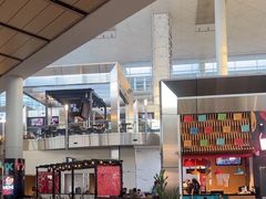 -达拉斯 沃斯堡国际机场