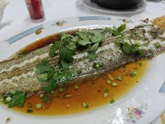 -新陶陶酒家