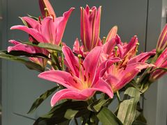 -南堂馆·新川菜(春熙路店)