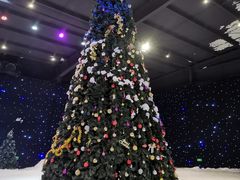 -宁波冰雪大世界(北仑区)