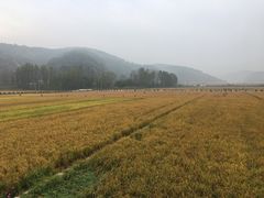 -南泥湾风景区