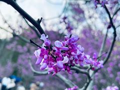 -天台山赤城山景区