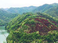 -四明山国家森林公园