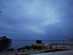 -宝安西湾红树林湿地公园