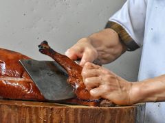 -姚林轩