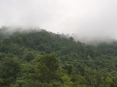 -野象谷景区