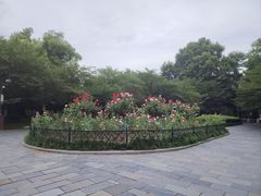 -堤角公园