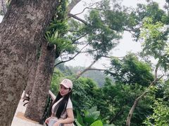 -深圳仙湖植物园-停车场
