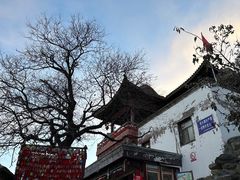 -香山公园