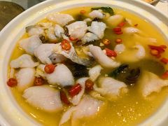 -邵年鸽(杨庄店)